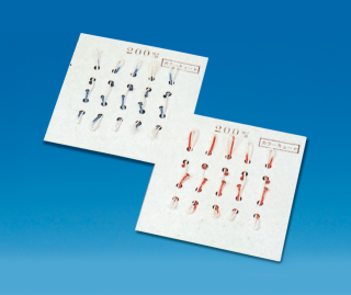PTFE�J���[�L���[�g