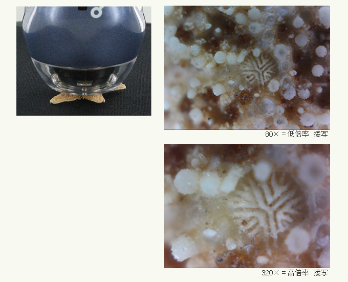 �ڎʃ��[�h�ɃZ�b�g