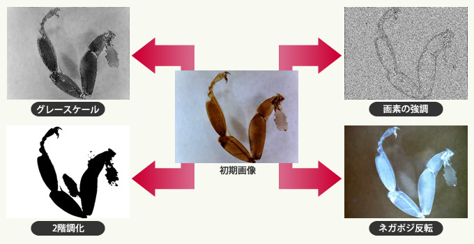 �摜���ʁc�O���[�X�P�[���A��f�̋����A2�K�����A�l�K�|�W���]
